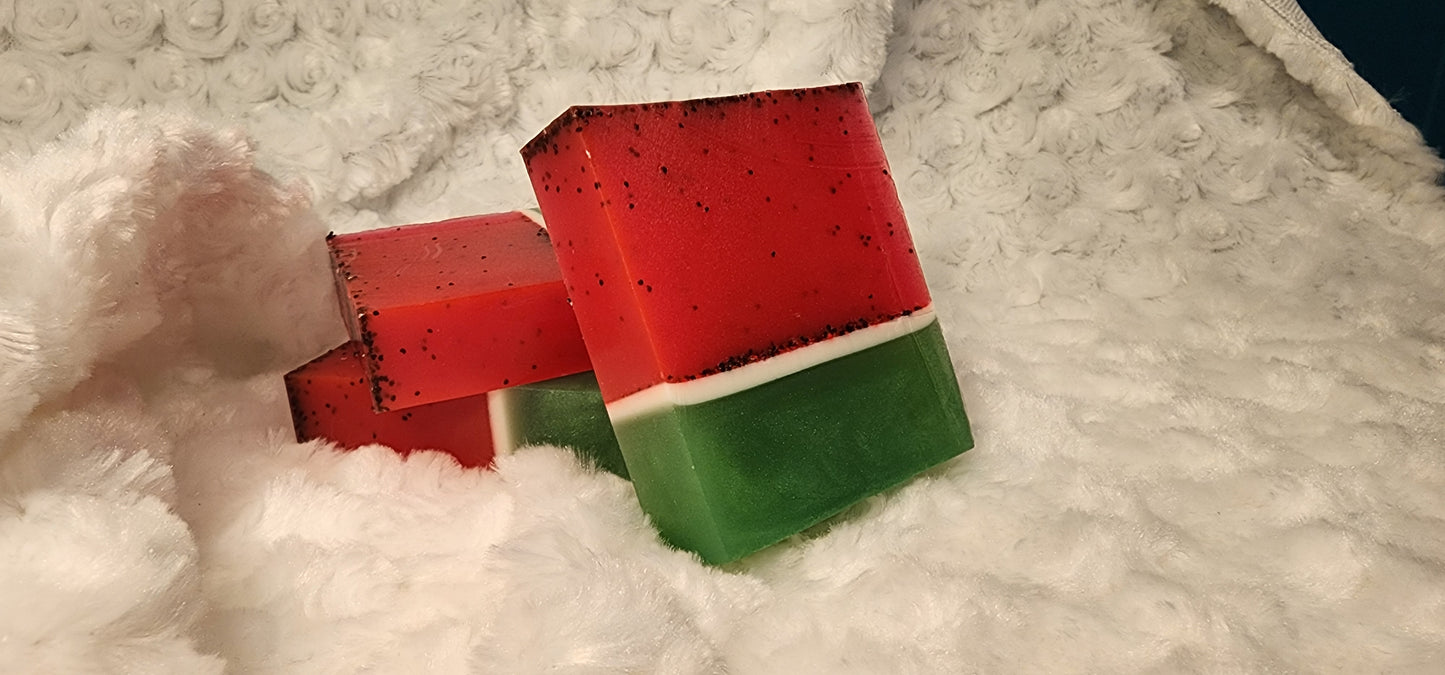 π Wild and Watermelon β Juicy Exfoliating Soap Bar