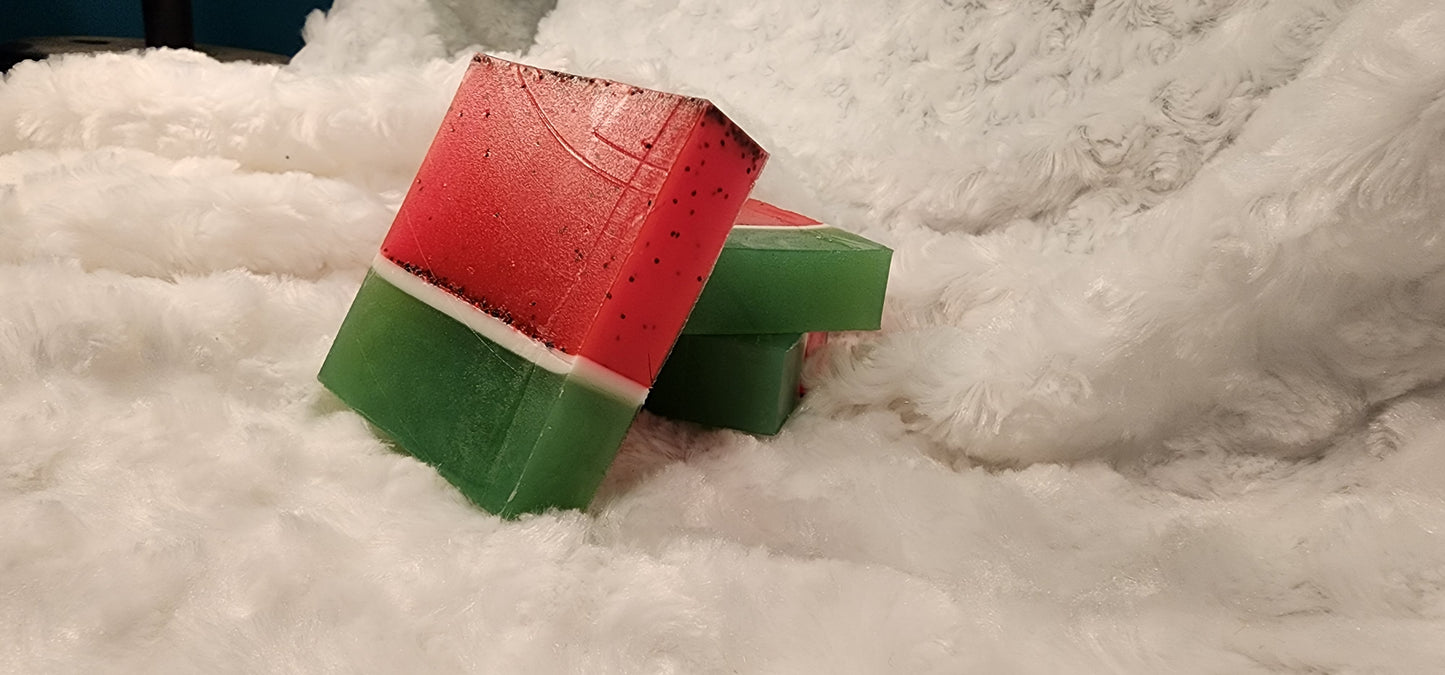 π Wild and Watermelon β Juicy Exfoliating Soap Bar